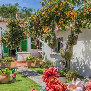 Casa Vileta Сasa de vacaciones